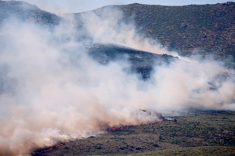 More than 200K flee wildfires